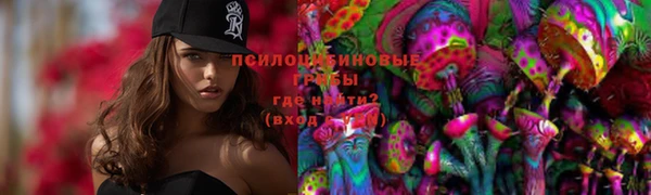 не бодяженный Алексин